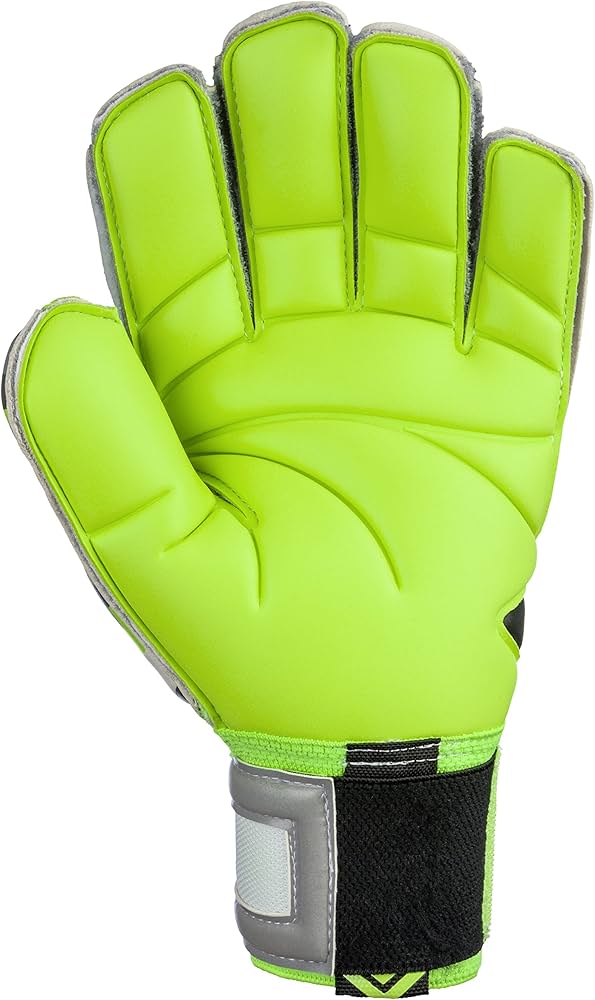 ロイッシュリロードデラックスG2 キーパーグローブ Amazon.co.jp