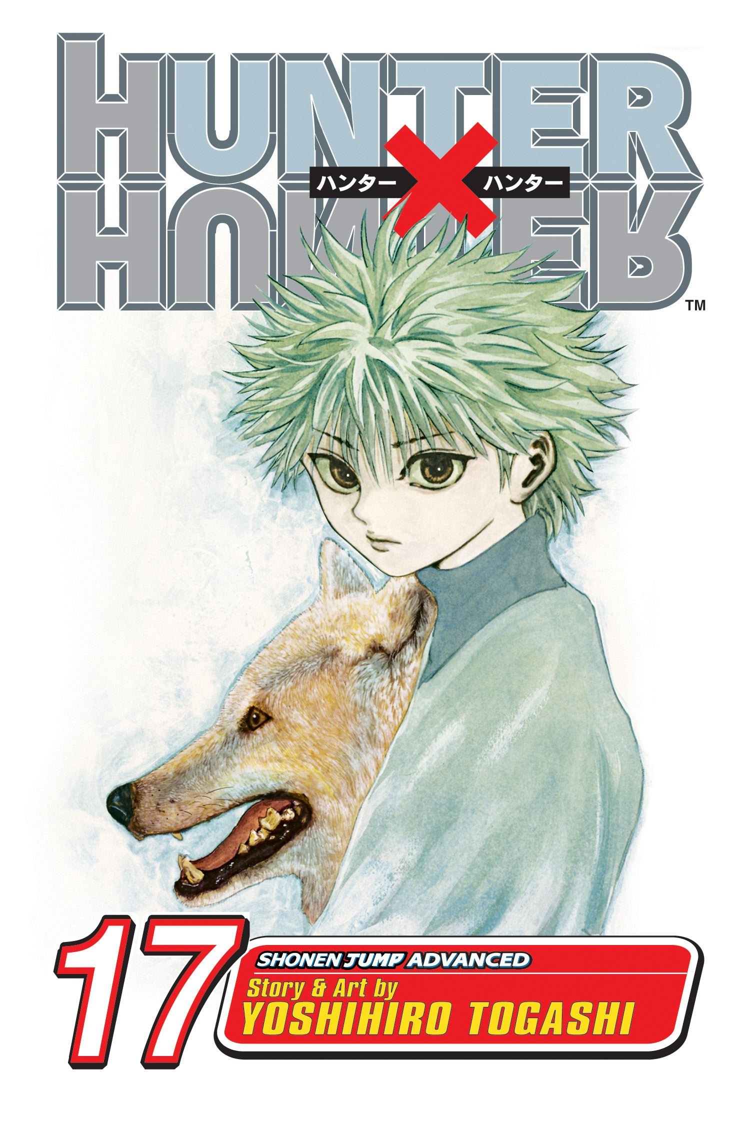 Amazon | Hunter x Hunter, Vol. 17: A Fierce Three-Way Struggle