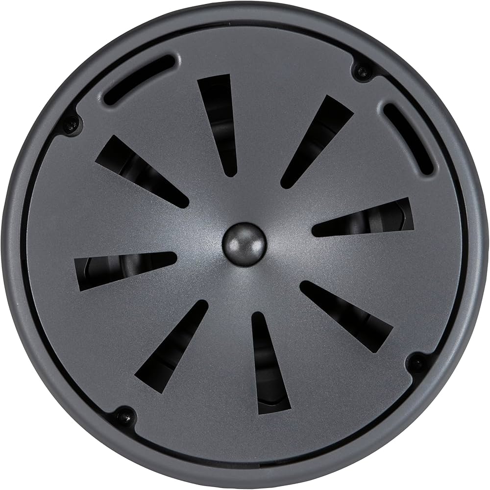 Amazon.com: JBL Professional C65P/T Compact Full-Range Hanging