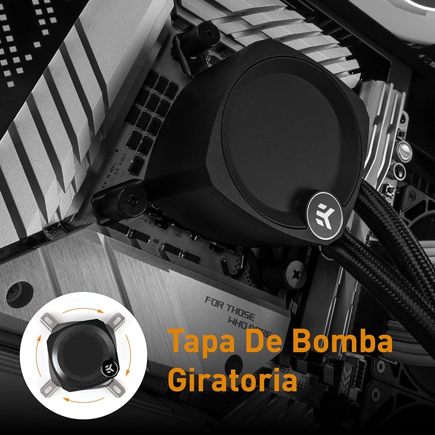 81mrfUGxniL._AC_UF894,