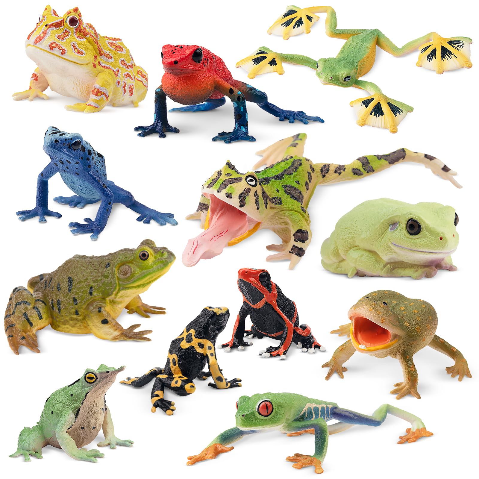 Amazon.com: Toymany Frog Toy Figures, Plastic Rainforest Woodland