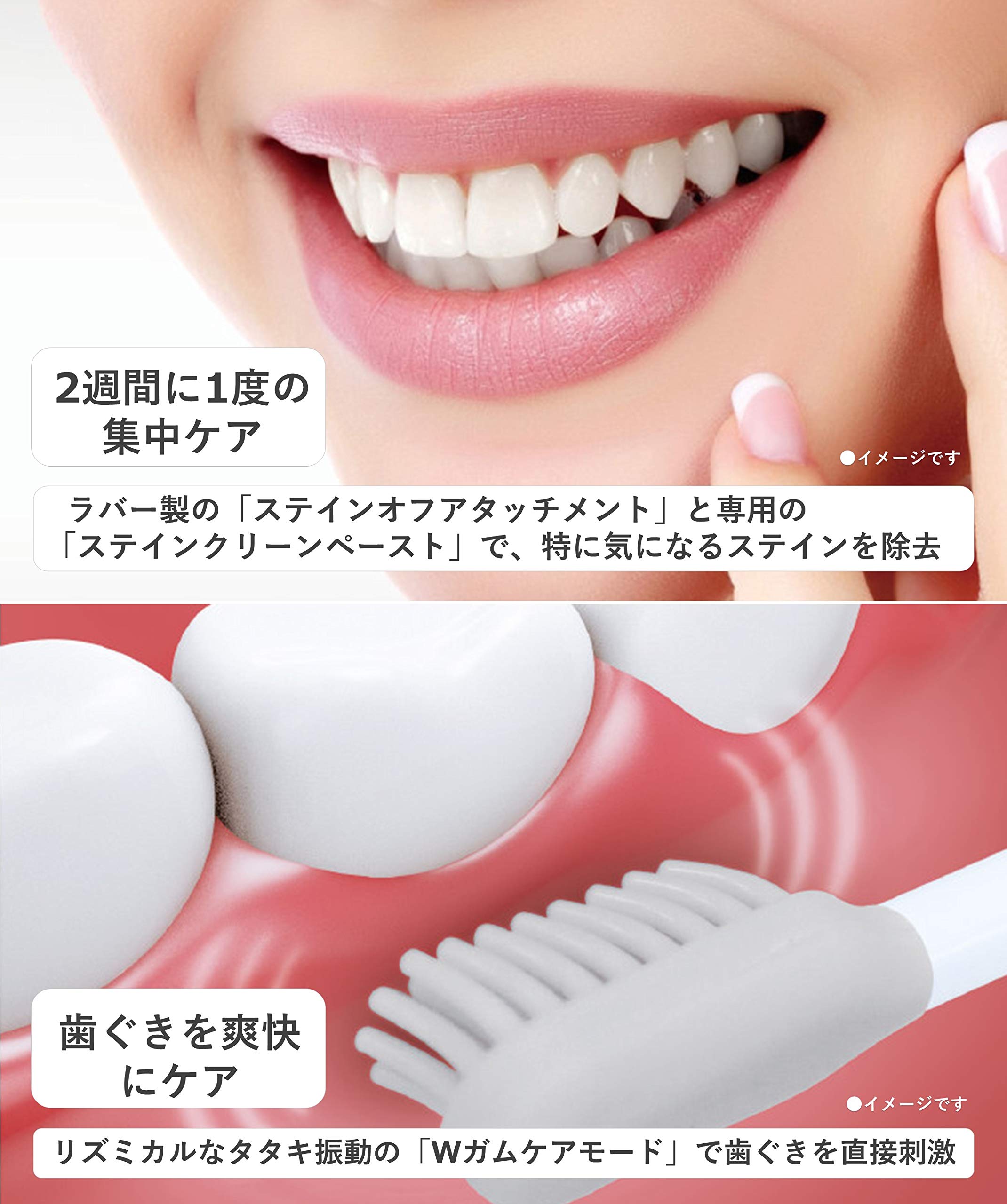 Amazon.co.jp: Panasonic EW-CDP53-S Electric Toothbrush, Doltz