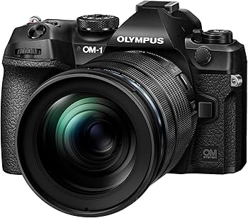 Amazon.com : OM System M. Zuiko Digital ED 12-100mm F4 is Pro Lens