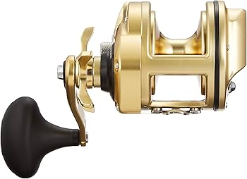 Amazon | シマノ(SHIMANO) 石鯛・鯉リール 両軸遠投リール 15 KAIKON