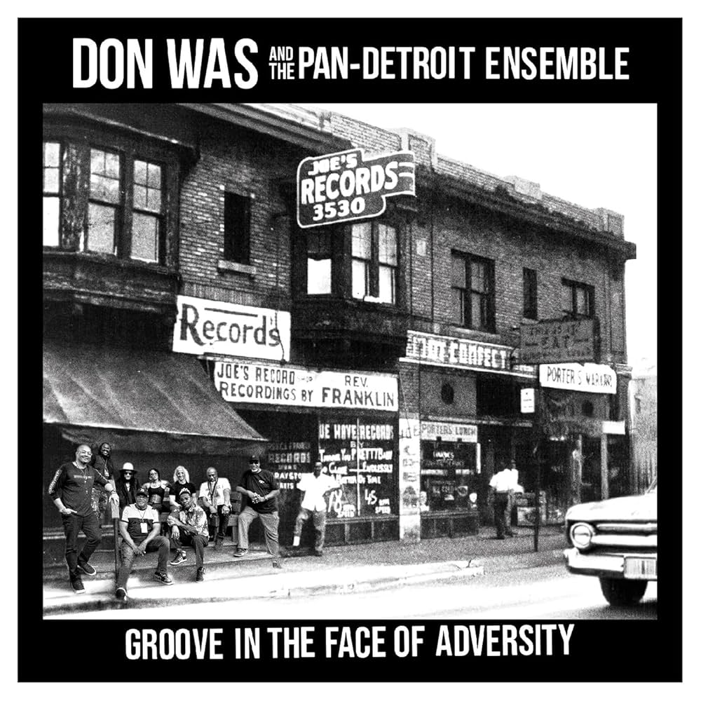 Amazon.com: Groove In The Face Of Adversity: CDs & Vinyl