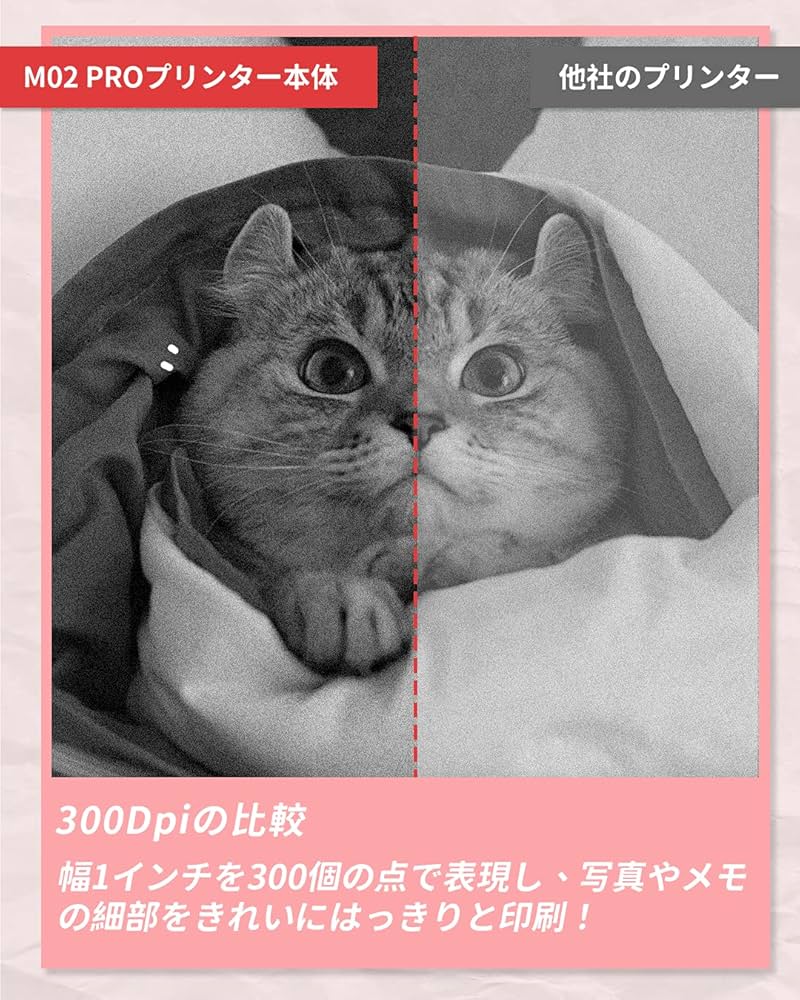 Amazon.co.jp: Phomemo M02 PRO 300DPI ミニプリンター サーマル