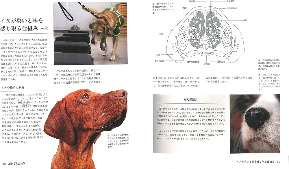 イヌの博物図鑑 | アーダーム・ミクローシ, 小林 朋則 |本 | 通販 | Amazon