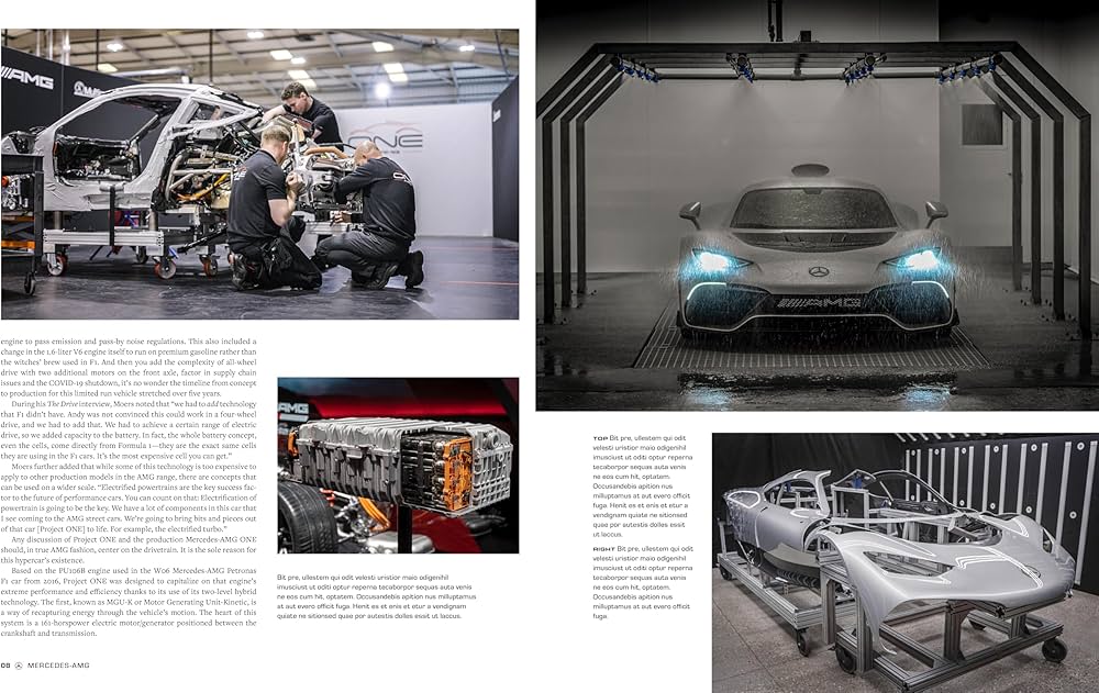 Mercedes-AMG: Race-Bred Performance: DeLorenzo, Matt, Posey, Sam