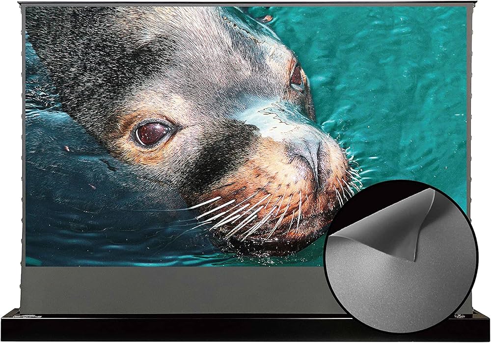 Amazon | プロジェクタースクリーン 100インチ VIVIDSTORM SCREEN長