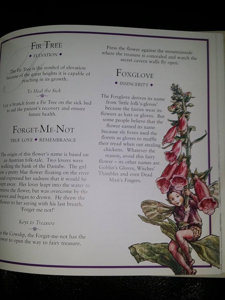 Flower Fairies: The Meaning of Flowers: Barker, Cicely Mary
