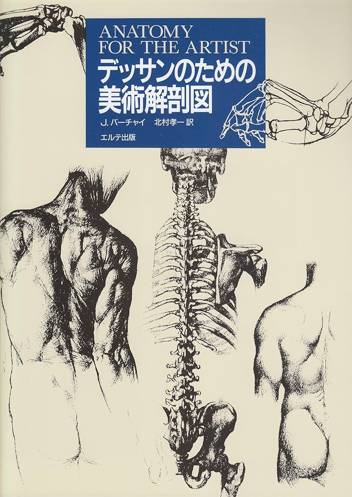 デッサンのための美術解剖図 | イエヌ バーチャイ, Barcsay,Jeno, 孝一