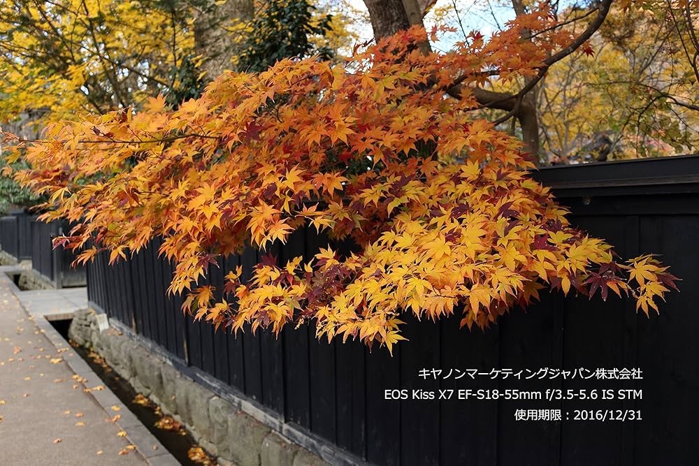 Amazon | Canon デジタル一眼レフカメラ EOS Kiss X7 レンズキット EF