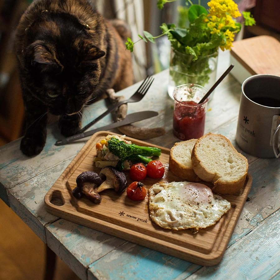 Amazon.co.jp: スノーピーク(snow peak) MYプレート TW-040 : ホーム