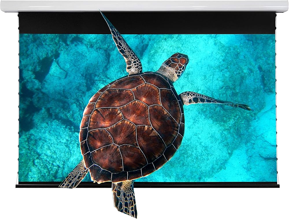 Amazon | VIVIDSTORM SCREEN PRO 高輝度レザープロジェクター専用耐外