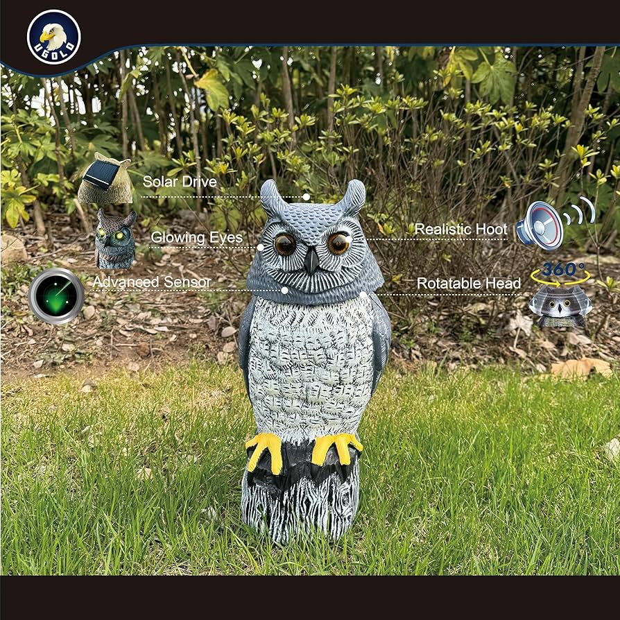 Amazon.com: Ugold Solar Powered Garden Owl with Motion Detection