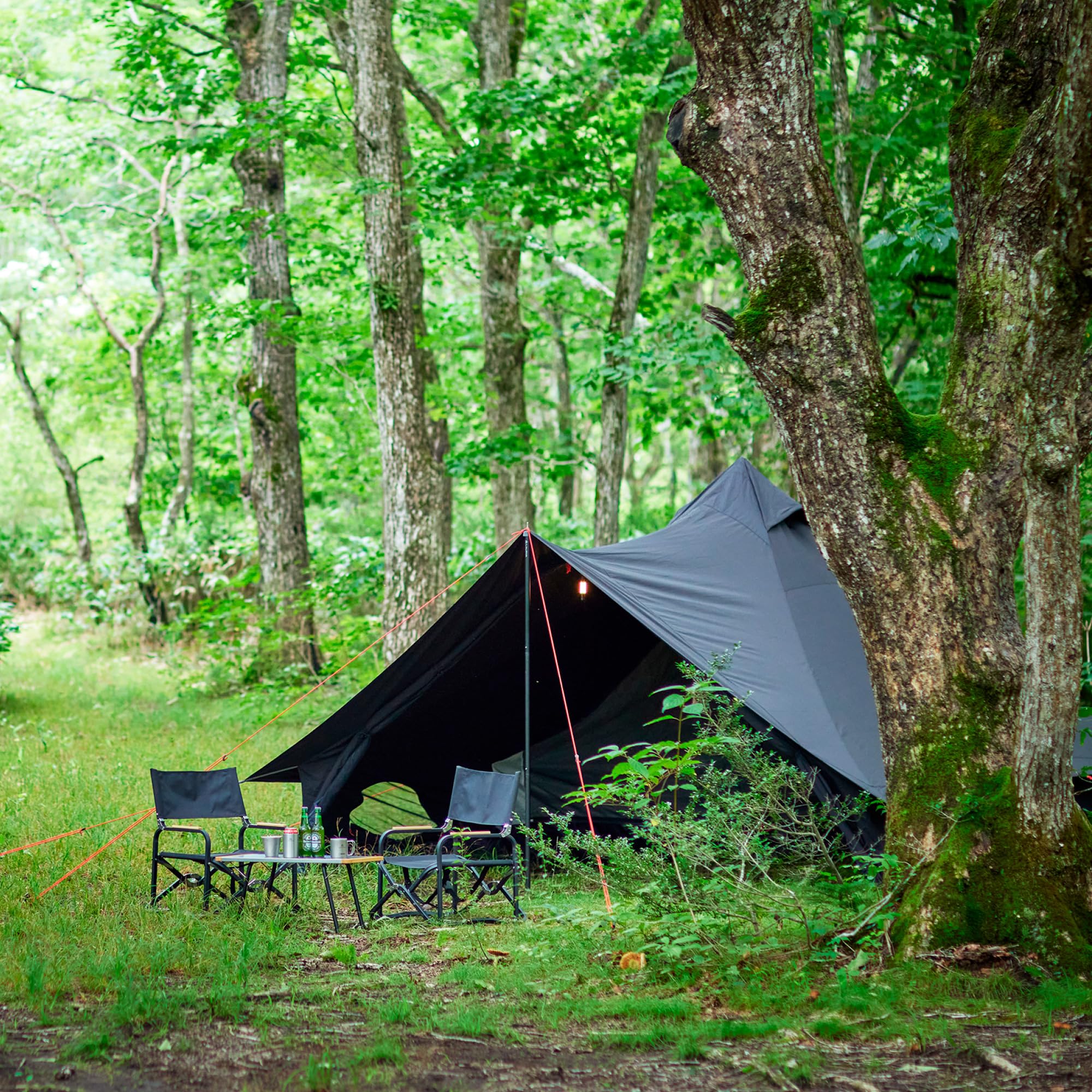 Amazon.co.jp: LALPHA TP-400BK One Pole Tent with TC Material, Side