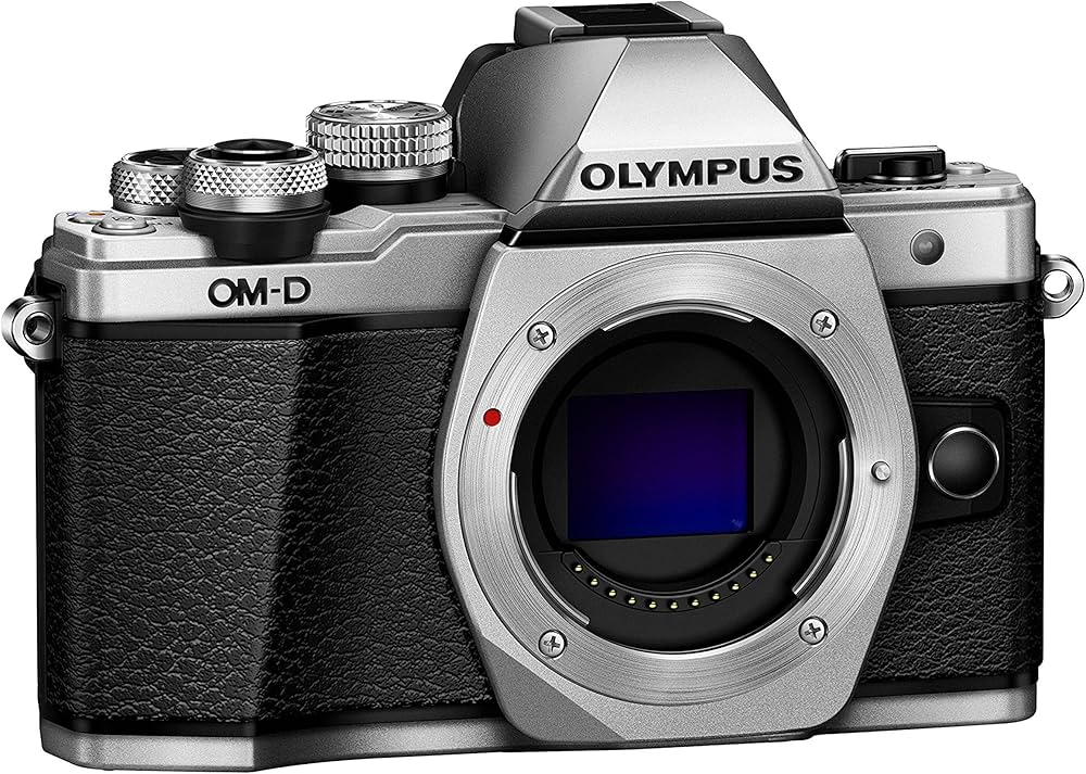 Amazon.co.jp: OLYMPUS OM-D E-M10 MarkII Mirrorless SLR Body