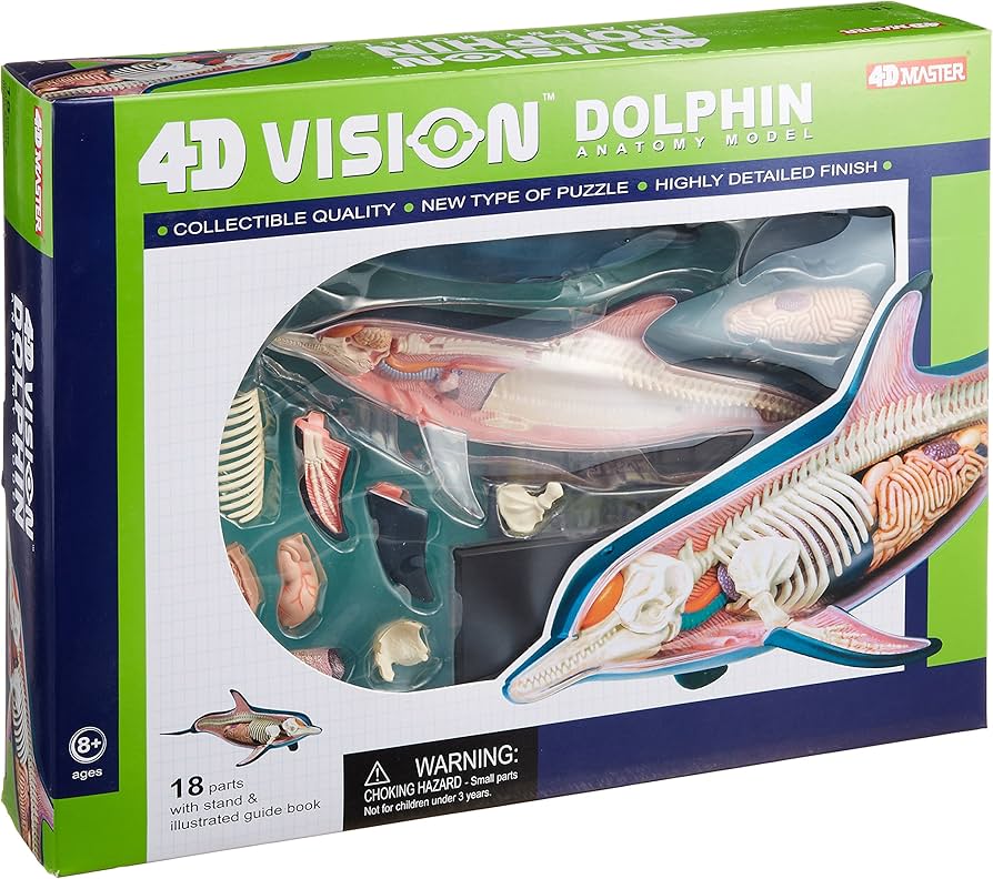 Amazon.co.jp: スカイネット 立体パズル 4D VISION 動物解剖 No.07