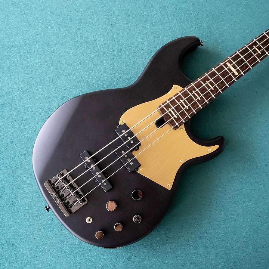 Amazon | ヤマハBBシリーズベースギター用ピックガード、ゴールド