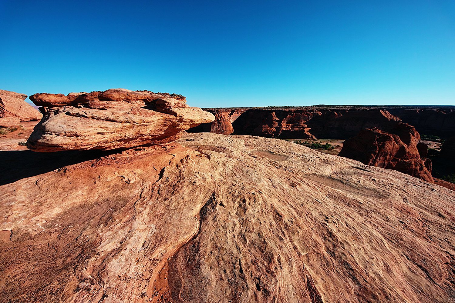 Amazon.com : Sigma 8-16mm f/4.5-5.6 DC HSM FLD AF Ultra Wide Zoom