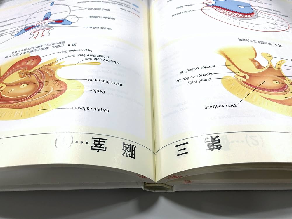 臨床のための脳局所解剖学 |本 | 通販 | Amazon