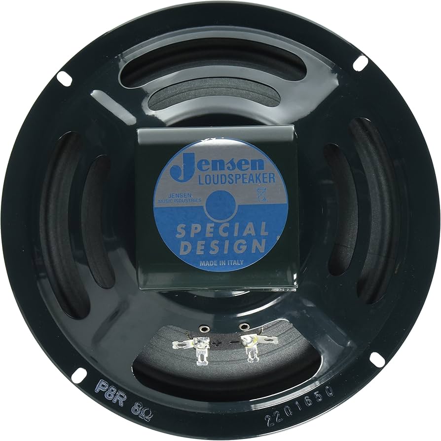 Amazon.com: Jensen Vintage P8R8 8-Inch Alnico Speaker, 8 ohm