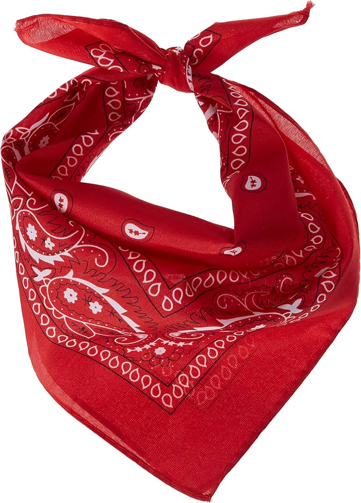 Amazon.com: Vibrant Red Premium Bandana - 20 x 20 (Pack of 12