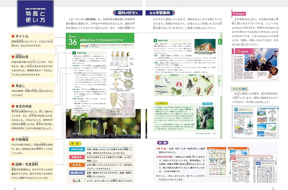 91VeqLKbP3L._AC_UF1000,