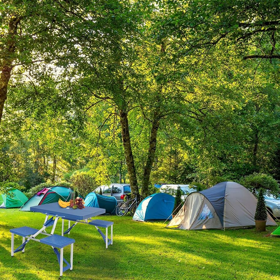 Amazon.co.jp: ポータブル 折りたたみ式 キャンプ ピクニックテーブル