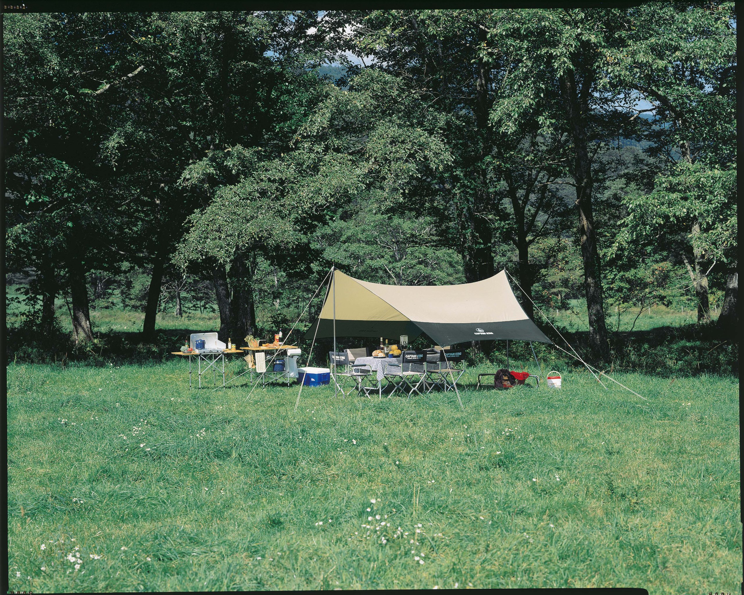 Amazon | キャプテンスタッグ プレーナヘキサタープ M-3155