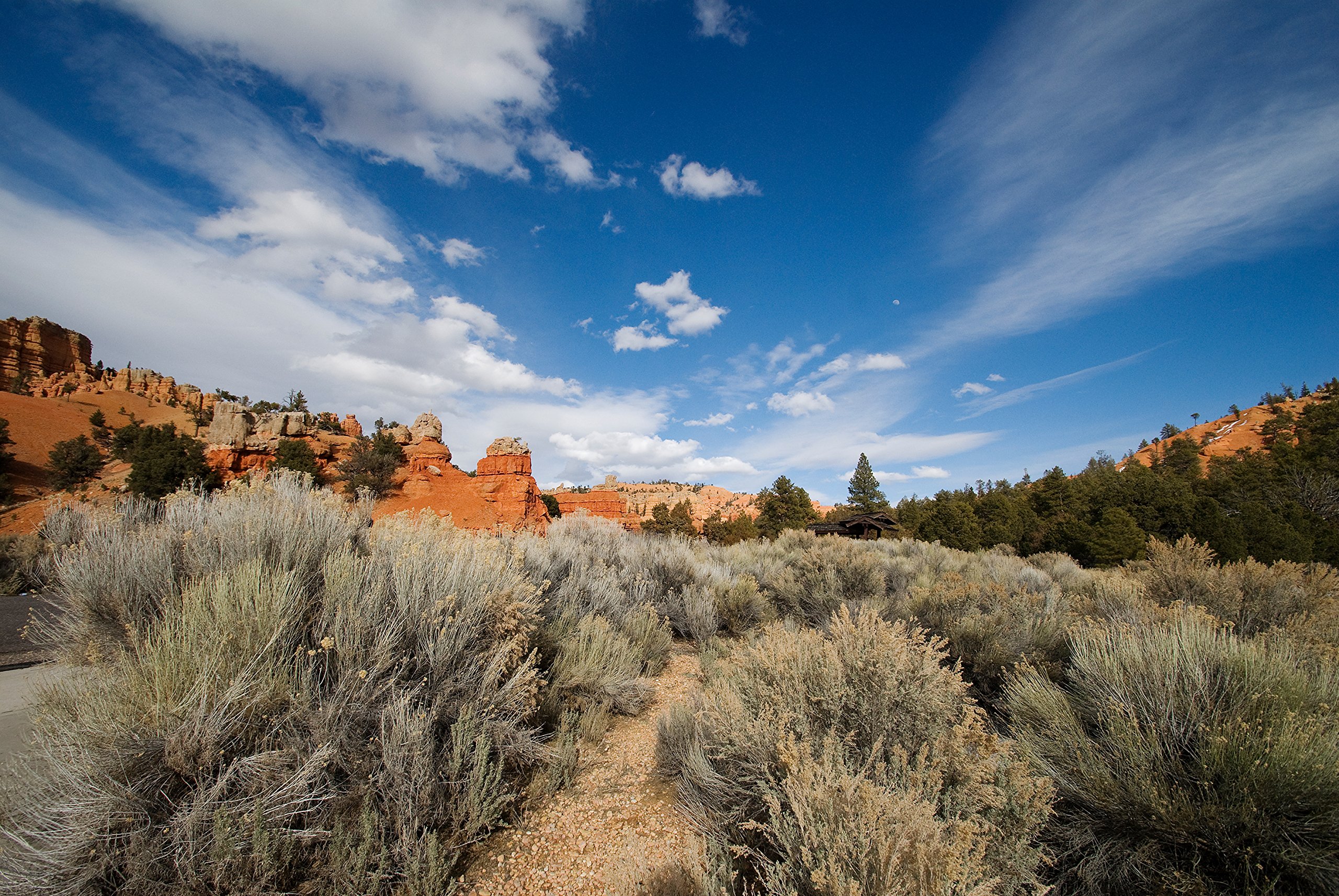 Amazon.co.jp: TAMRON 超広角ズームレンズ SP AF10-24mm F3.5-4.5 DiII