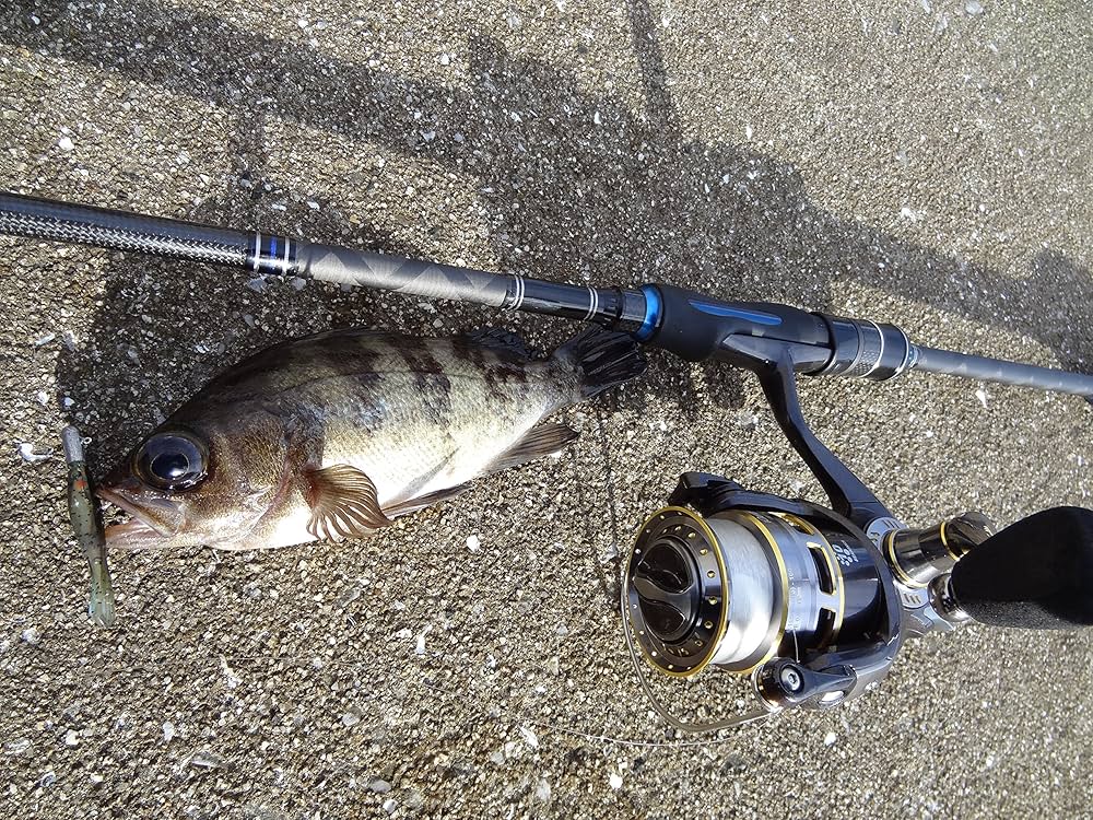 Amazon | AbuGarcia (アブガルシア) ソルティースタイル メバル SStyle