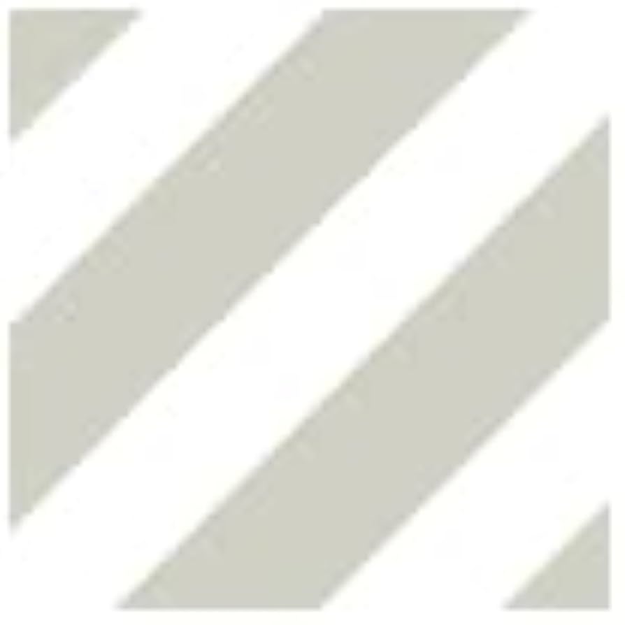 Amazon | ホリゾン(Horizon) シルクスクリーン印刷 シルクスクリーン