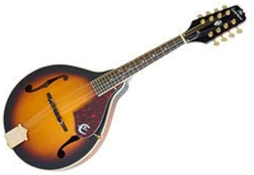 Amazon.com: Epiphone MM-30S 