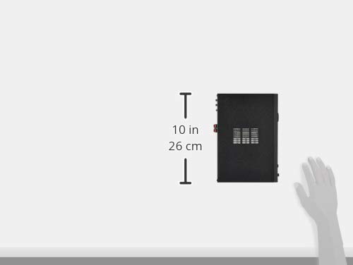 Amazon.co.jp: MASSIVE マッシブ モノラルアンプ(ロー・インピーダンス