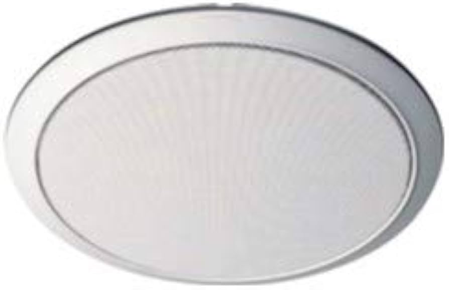 Amazon.co.jp: パナソニック スプリングキャッチ式天井スピーカー用