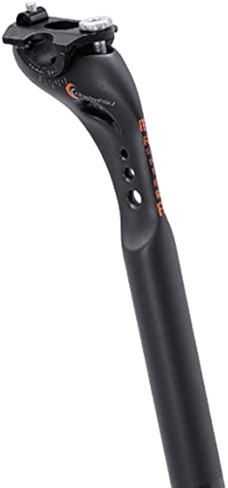 Amazon | onebyESU（ワンバイエス）カーボンマガタマシートポスト