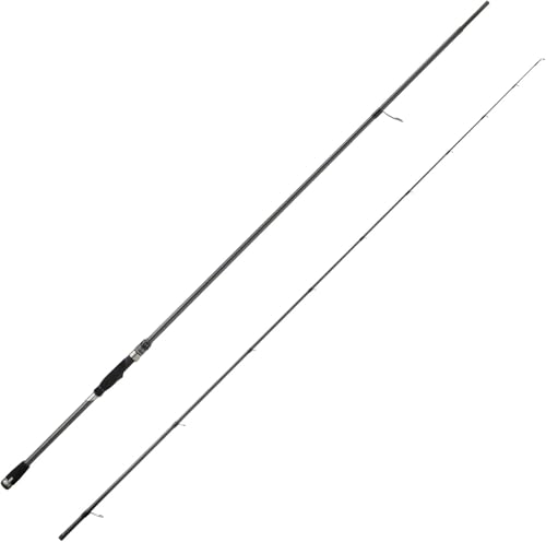 アブ ガルシア ソルティーステージ プロトタイプ ロックフィッシュ