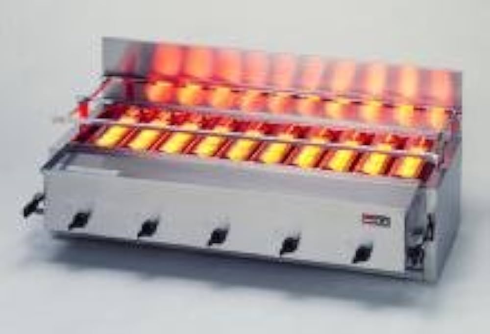 Amazon.co.jp: リンナイ 業務用グリル 新荒磯10号 RGA-410B 1コック2