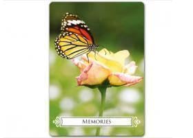 Amazon.co.jp: バタフライ オクラルカード タロット 蝶 神秘的 英語版