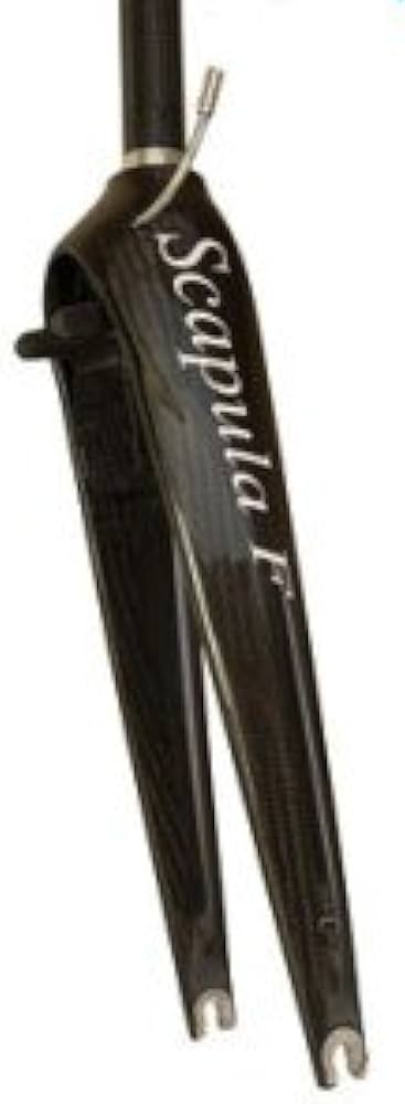 Amazon.co.jp: THM-Carbones Scapula F フォーク : Sports & Outdoors