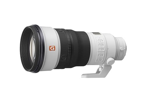 300mm f2.8」の人気商品一覧 | 安い商品を通販サイトから探す - 価格.com