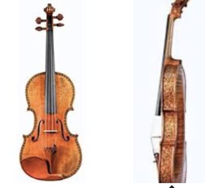 Amazon.com: D Z Strad Violin - Model 505F - Hellier Stradivarius