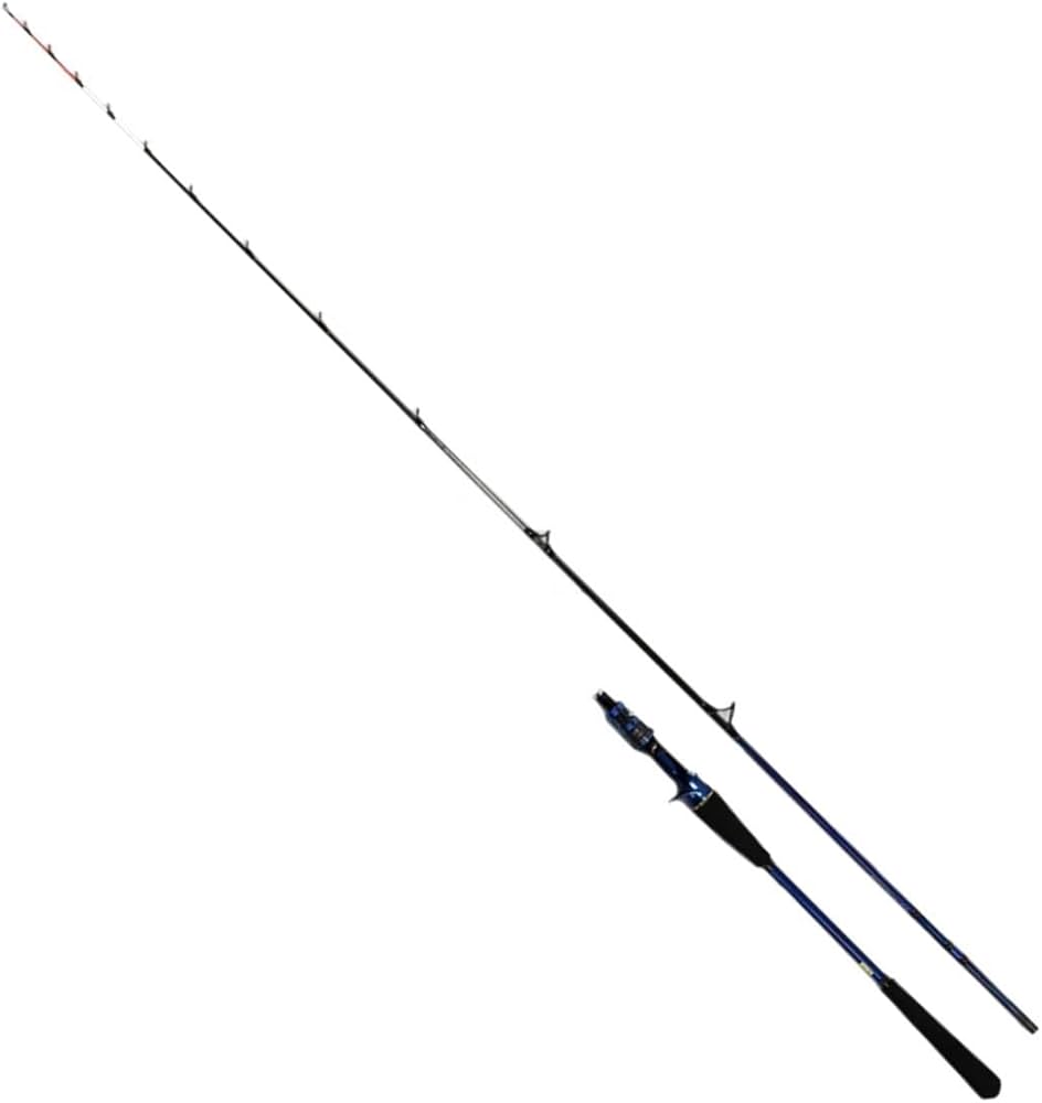 Amazon | ダイワ(DAIWA) 船竿 極鋭タチウオテンヤ SP91H-165AGS ブルー