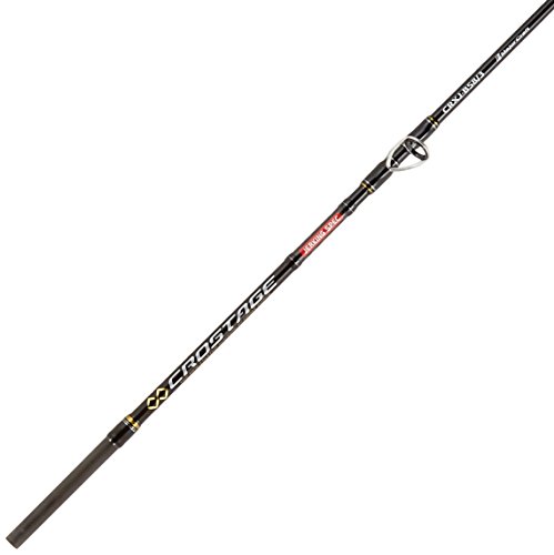 ダイワ「ブラストBJ TW」！Tウィング搭載モデルでジギングの釣果が