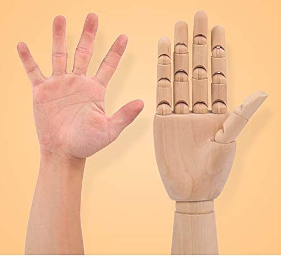 Amazon | Revteds 木製 デッサン ハンド マネキン トルソー (男性右手