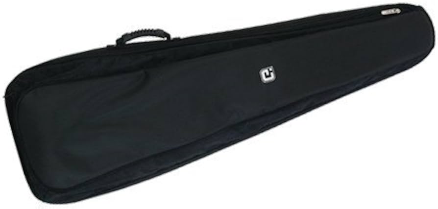 Amazon.co.jp: IGIG G315B BLK/BLK Guitar Case for Electric Bass