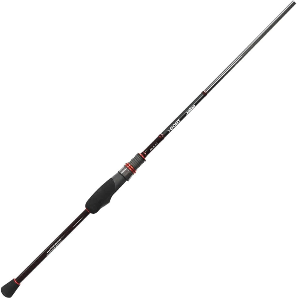 Amazon | レイン(Reins) アジングロッド ZEIGO (ゼイゴ) 710 NITRO