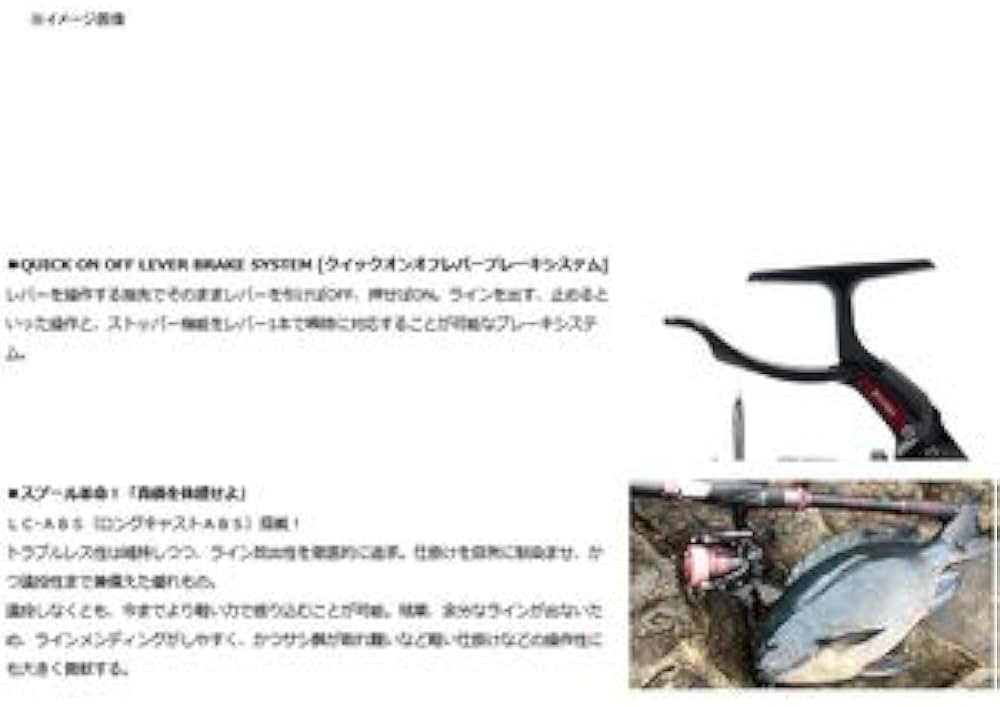 Amazon | ダイワ(DAIWA) スピニングリール(レバーブレーキ) 19