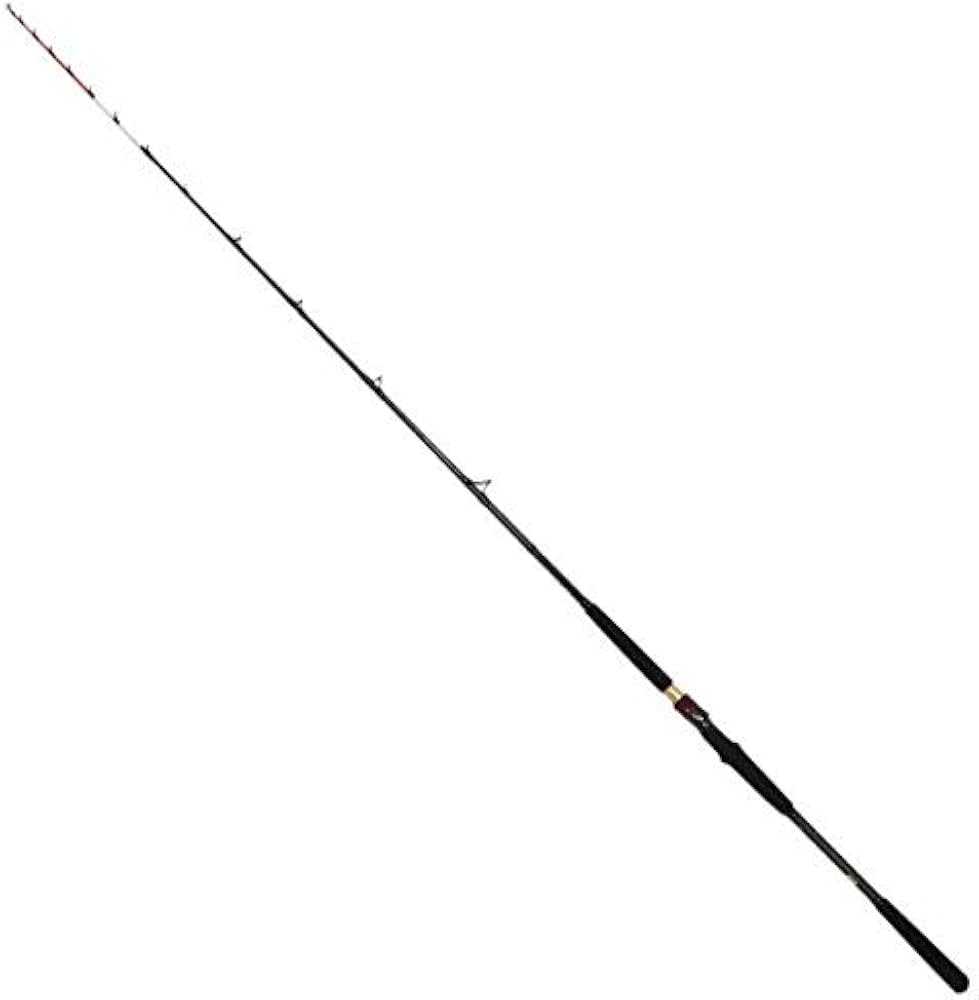 Amazon | ダイワ(DAIWA) 船竿 極鋭ヤリイカ EX 82-175 釣り竿 | ダイワ